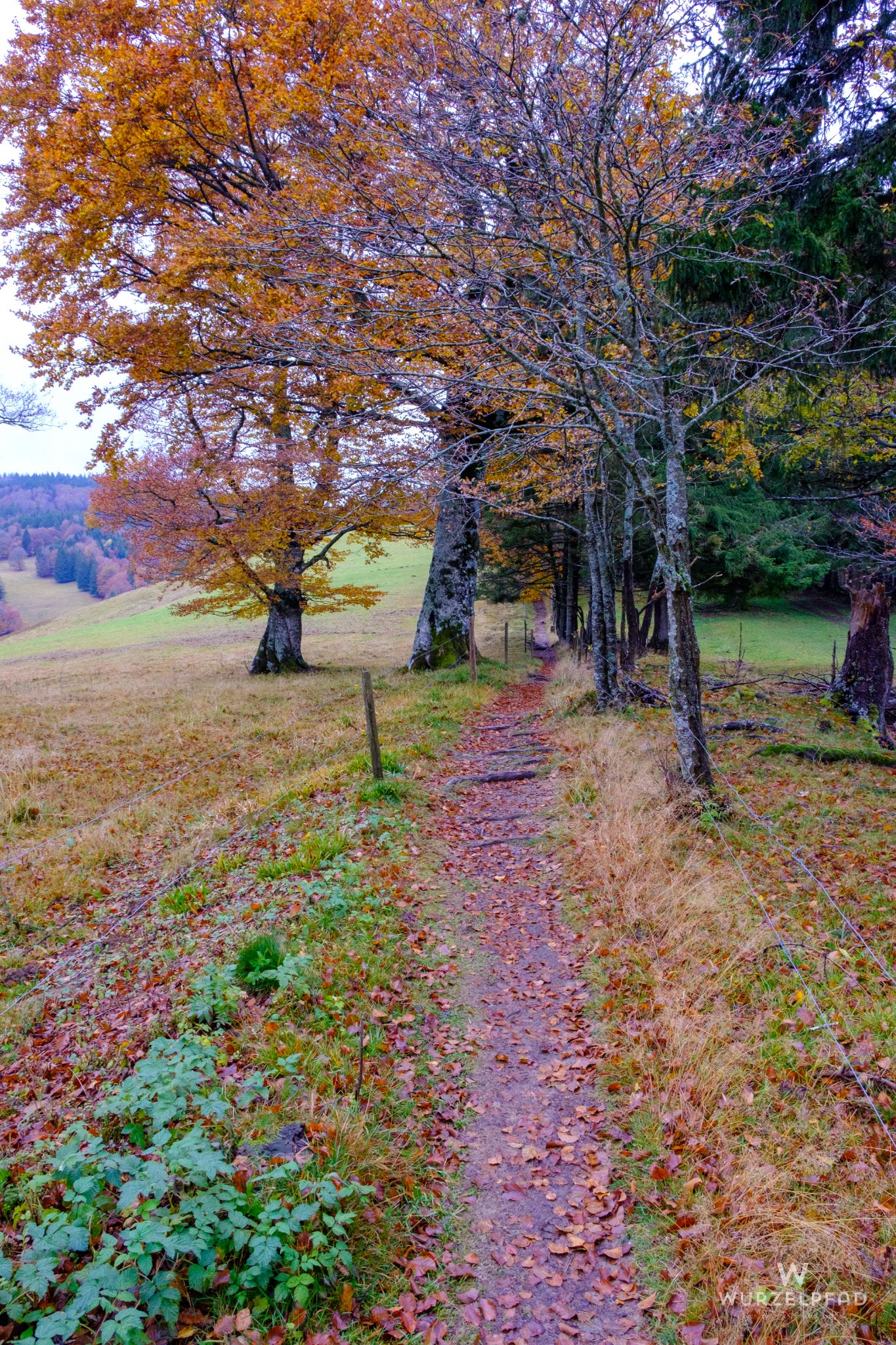Unterwegs auf dem Westweg